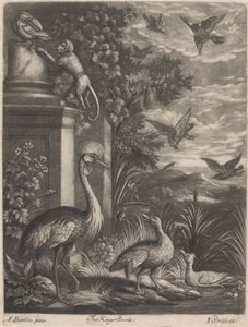 Les Oiseaux du Roi