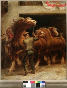 Étalons belges