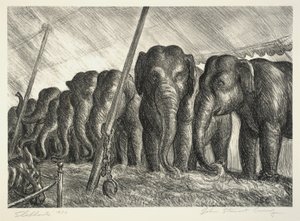 Cirque des éléphants