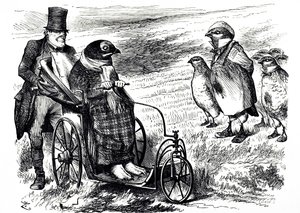 Dessin humoristique commentant la suspension de la chasse au tétras pour permettre à la population de se reconstituer. Illustré par John Tenniel (1820-1914), un illustrateur anglais, humoriste graphique et caricaturiste politique
