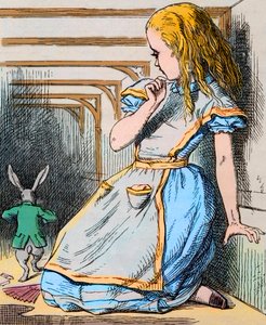 Alice et le Lapin Blanc. Illustration de John Tenniel de la première édition des « Aventures d