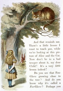 Le Chat du Cheshire - John Tenniel