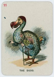 Le Dodo - John Tenniel