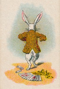 Le lapin s