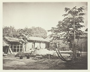 Une maison de Pepohoan