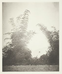 Bambous à Baksa, Formose - John Thomson