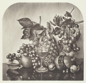 Fruits - John Thomson