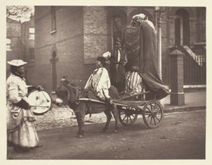 Effigies de novembre - John Thomson