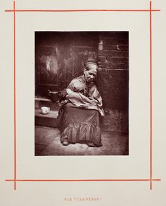 Les Rampants - John Thomson