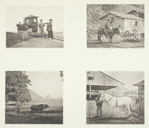 Le Sedan, Un Officier Militaire, La Charrue, Un Poney de Chine du Nord, c. 1868