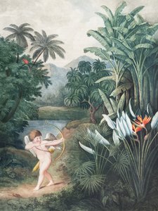 « Cupidon inspirant les plantes par l