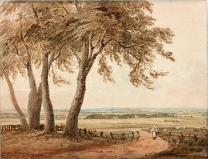 Vue de Polsden près de Bookham dans le Surrey - John Varley