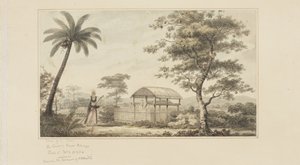 45 : Vue d