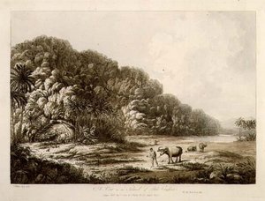 Une vue de l