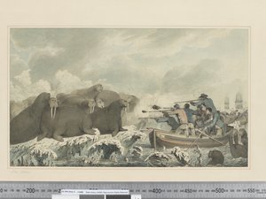 F.32 Chevaux de mer, vers 1773-84 - John Webber
