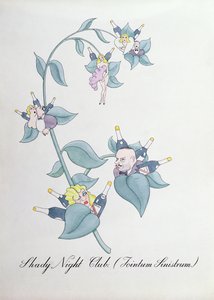 Club de nuit ombragé (Jointum Sinistrum.), illustration de 