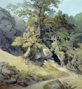 Canonteign, Devon - John White Abbott