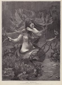 La Sirène - John William (after) Waterhouse
