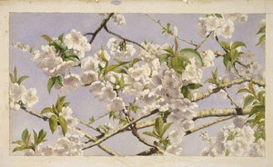 Fleurs de pommier, vers 1874