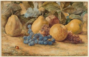 Nature morte de fruits : pommes, poires et raisins sur le sol - John William Hill