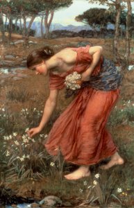 Narcisse