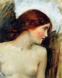 Étude pour la tête d