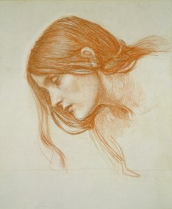 Étude de la tête d
