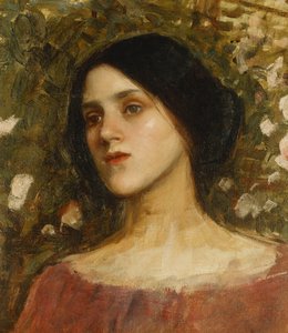 La tonnelle de roses