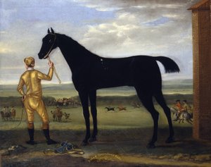 Le cheval de course du duc de Devonshire 