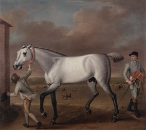 Le cheval de course gris du duc de Hamilton 
