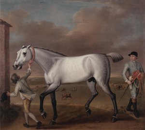 Victorious, le cheval de course gris du duc de Hamilton, à Newmarket - John Wootton