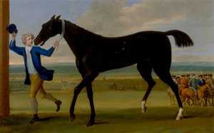 Le Bonny Black du duc de Rutland - John Wootton