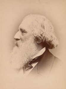 [John Frederick Lewis], 1860s - John and Charles Watkins