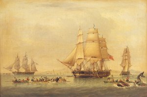 Baleiniers de la pêche des mers du Sud - John of Hull Ward