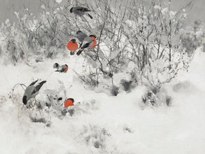 Des bouvreuils dans la neige
