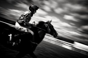 Le domaine de Goodwood dans le West Sussex, Royaume-Uni, 2020 (photo)