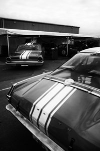 Le domaine de Goodwood dans le West Sussex, Royaume-Uni, 2020 (photo)