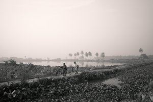 Pêche en zone humide à Kolkata, 2016 (photo)