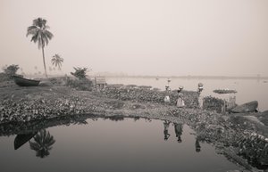Pêche en zone humide à Kolkata, 2016 (photo)