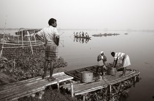 Pêche en zone humide à Kolkata, 2016 (photo)