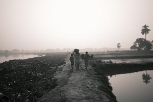Pêche en zone humide à Kolkata, 2016 (photo)