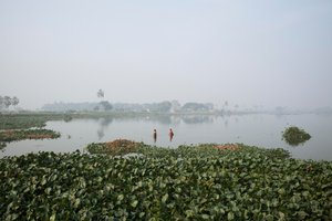 Pêche en zone humide à Kolkata, 2016 (photo) - Jon Nicholson