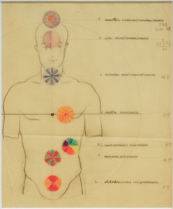 Les sept chakras