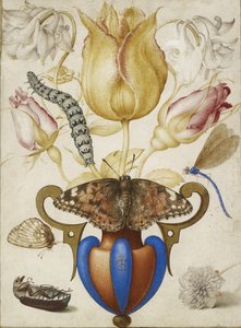 Arrangement de fleurs dans un vase, avec des insectes, 1594 (aquarelle avec or sur vélin) - Joris Hoefnagel