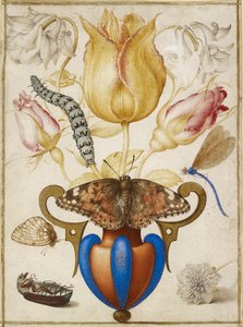 Arrangement de fleurs dans un vase, avec insectes, 1594 - Joris Hoefnagel
