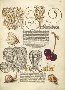 Papillon, cerise douce et escargots de terre - Joris Hoefnagel