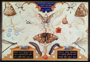 Diptyque avec fleurs et insectes, 1591 (marouflage et parchemin sur panneau)