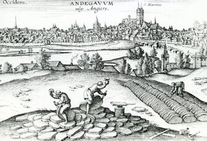 Carrière d