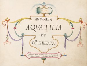 Page de titre