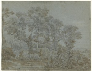 La réserve naturelle près d